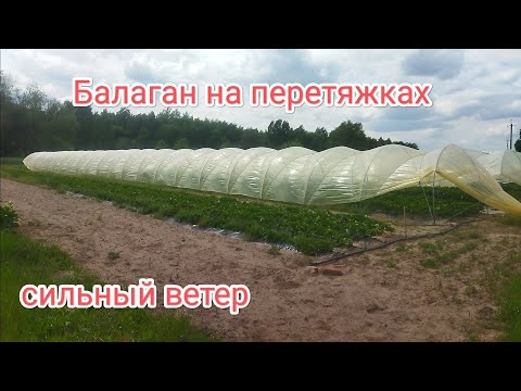Видео: Балаган на перетяжках во время сильного ветра, нюансы и подтяжка пленки