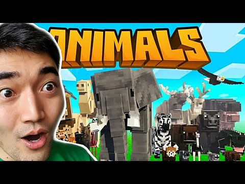 Видео: АМЬТАНЫ ХҮРЭЭЛЭН БАЙГУУЛЛАА!!! ft Zaakaa (Minecraft ep 19)