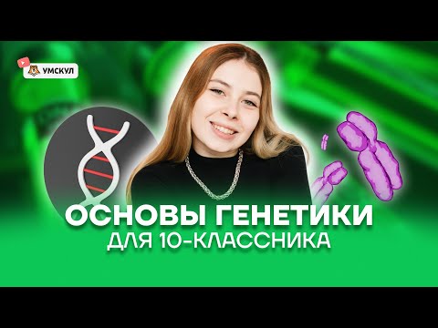 Видео: Основы генетики для 10 класса | Биология ЕГЭ 2025 | Умскул