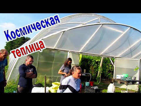 Видео: 🔴🔴Космос а не теплица / Виноградная теплица с профессиональным подходом / Виноград