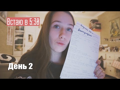 Видео: Подъем в 5:30, подготовка к сессии #2