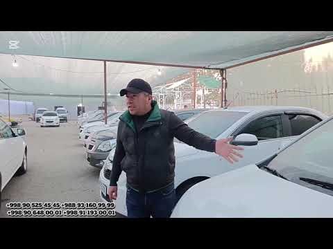 Видео: 11 ноября 2025 г.