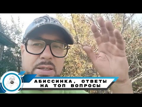 Видео: МИНИ скважина в замен колодца // бурим, отвечаем на ТОП вопросы