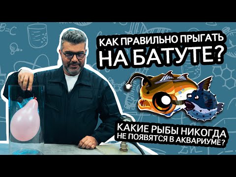 Видео: Почему нельзя прыгать на батуте вдвоем? / Проверено наукой