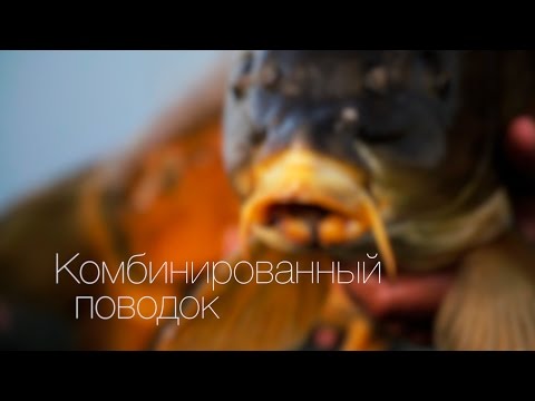 Видео: Комбинированный поводок.