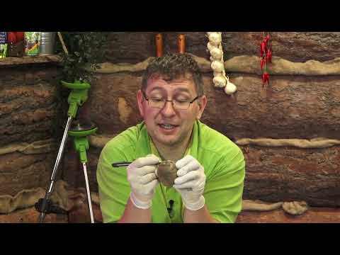 Видео: Консультант Садовода на Усадьбе №11