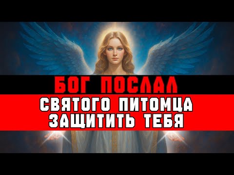 Видео: ИЗБРАННЫЙ, БОГ ПОСЛАЛ ТЕБЕ БОЖЕСТВЕННОГО ЗАЩИТНИКА 🐾