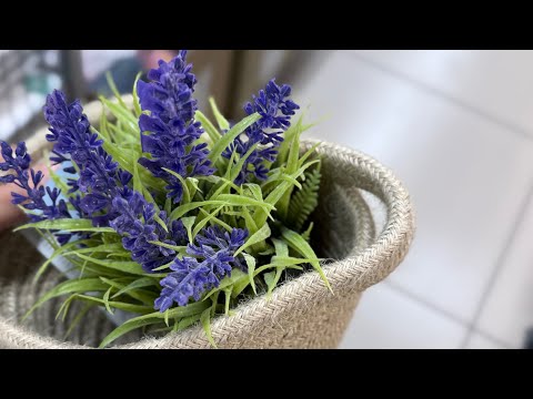 Видео: 💛 ЧИЖИК НАКУПИЛА НОВИНОК🔥 ПОЛКИ БИТКОМ - ИЗОБИЛИЕ ВСЕГО 😍 Все новинки недели в видео ✅