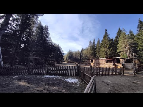 Видео: ЕКО ферма "Елата" с.Побит камък /2024/