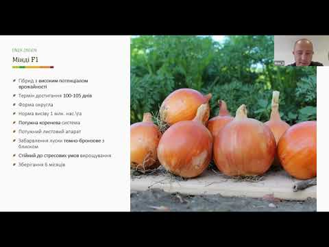 Видео: УРОК 1. Гібриди цибулі: що посієш – те й пожнеш