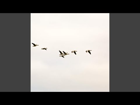 Видео: Розриває серце