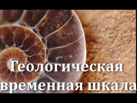 Видео: Геологическая временная шкала истории Земли. Геохронология, стратиграфия, датирование горных пород