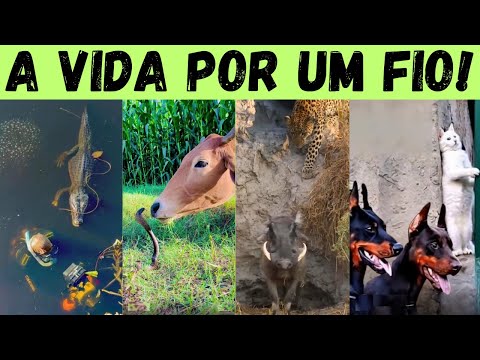 Видео: ЛИЦА ОПАСНОСТИ!