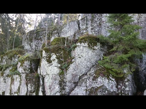 Видео: 72. Когда (не) слушать духовного отца