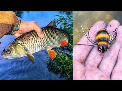 Видео: Самодельный Жук сделал рыбалку! Как поймать голавля на спиннинг?