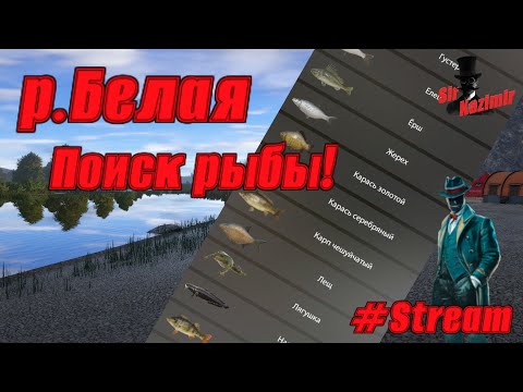 Видео: Река Белая ★ Поиск всех видов рыбы ★ Русская Рыбалка 4