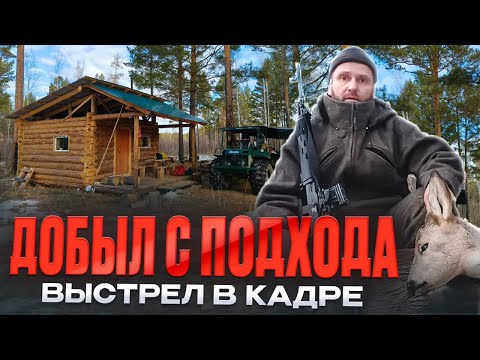Видео: ДОБЫЛ МЯСА. ЖИВУ ОДИН В ГЛУХОЙ ТАЙГЕ. ГОТОВЛЮ В КАЗАНЕ.