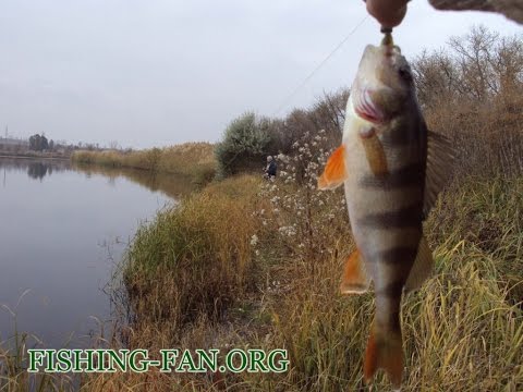 Видео: Рыбалка на Дунае.