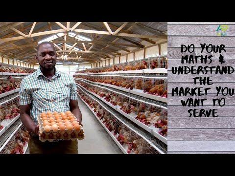 Видео: От трудоустройства до процветающей птицефермы, работающей над устранением дефицита белка в питани...