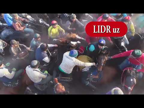 Видео: Хусни аптекр тўйини охири пасга 9 туя юқорига 9 туя