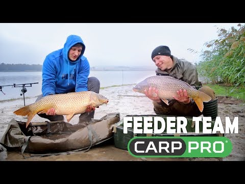 Видео: Feeder Team Carp Pro.Ловля крупного карпа осенью.