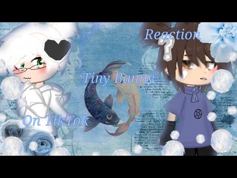 Видео: ||Реакция Зайчик на Тик ток 2 часть|| Ветка изгоя Реакция Тини бани на ТТ||