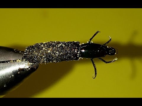 Видео: ручейник в домике