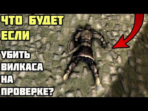 Видео: Что Будет Если Шлепнуть Вилкаса При Проверке? Skyrim Anniversary