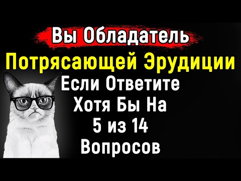 Видео: Тест По ЭРУДИЦИИ | Ответить На Все Вопросы Сможет Только ГЕНИЙ | 14 Вопросов