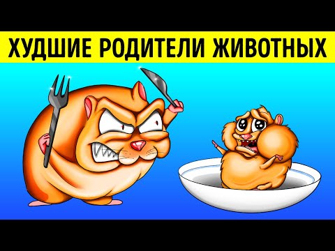 Видео: Чудеса природы: Удивительные факты о животных