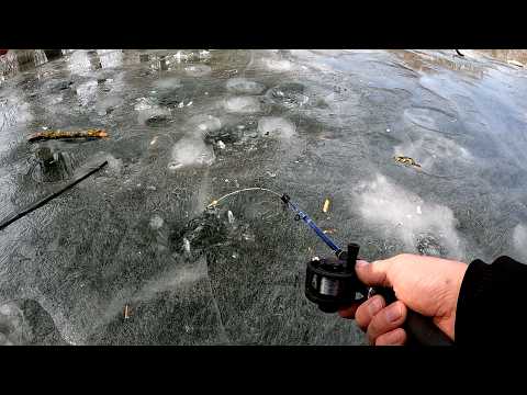 Видео: роздача весняних карасів на риболовлі і бічний кивок з криги, оце так закрив сезон