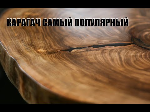 Видео: ДЕРЕВО КАРАГАЧ - НАТУРАЛЬНЫЙ ЦВЕТ, ТЕКСТУРА И ФАКТУРА