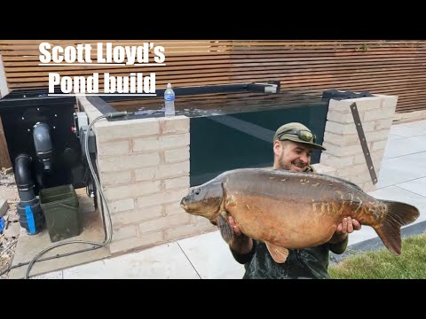 Видео: Строительство пруда Скоттс Ллойдс @scottlloyd-fishing #pruds #koi #fish #fishing #scottlloyd