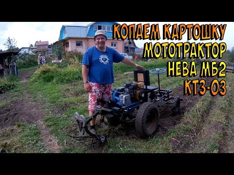 Видео: Уборка картофеля минитракторм Нева. Передний адаптер ктз-03 в деле