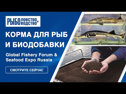 Видео: Разведение рыбы: комбикорма и биодобавки | Seafood Expo 2024