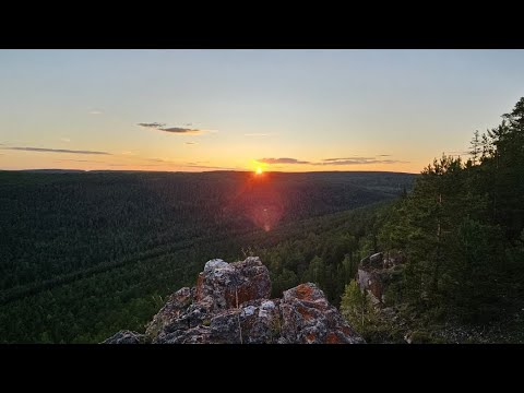 Видео: Медведь побывал в избушке....Охота 2025, Североуральск 