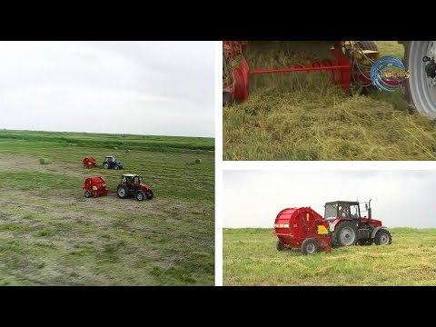 Видео: ЖОҢЫШҚА ТҰҚЫМЫНЫҢ АРЗАН НЕМЕСЕ ҚЫМБАТ БОЛҒАНЫНДА АЙЫРМАШЫЛЫҚ ЖОҚ / AGROLIFE / 22.07.22