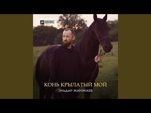 Видео: Конь крылатый мой