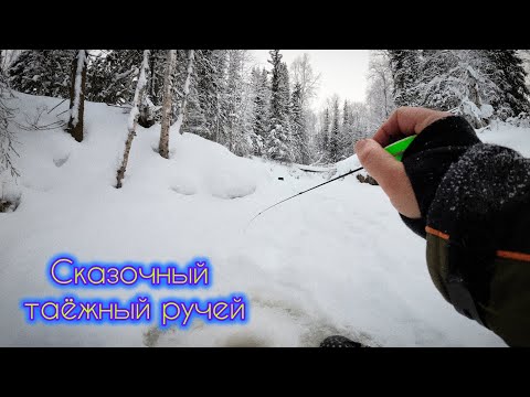 Видео: ДУШЕВНАЯ РЫБАЛКА ТАЁЖНЫЙ РУЧЕЙ #чебак #мохтик #елец #тайга #сибирь #Север #рыбалка