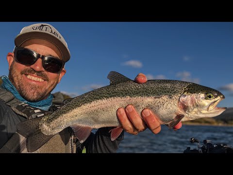 Видео: Блесны для ловли радужной форели на озере Джорджтаун