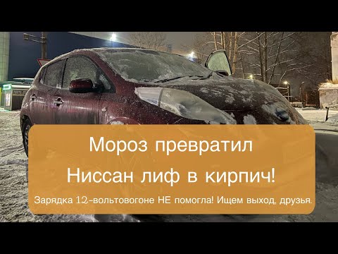 Видео: Ниссан лиф умер в мороз! Пытаюсь воскресить🥶