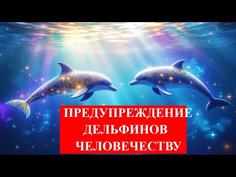 Видео: Дельфины, сознание и конец антропоцентризма