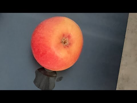 Видео: Зарплаты, рост цен, сотрудники. Как дальше жить?