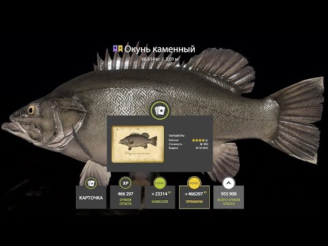 Видео: 📢СТРИМ РР4🔥УТРО УТРЕННЕЕ И МОРЕ МОРСКОЕ🔥РУССКАЯ РЫБАЛКА 4