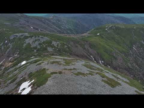 Видео: покорение высочайших вершин Приморского края, с севера, гора Снежная, гора Облачная