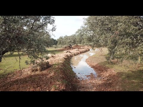 Видео: Декабрь 2020 г. на ферме Каймито