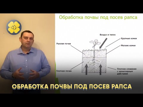 Видео: Обработка почвы под посев рапса
