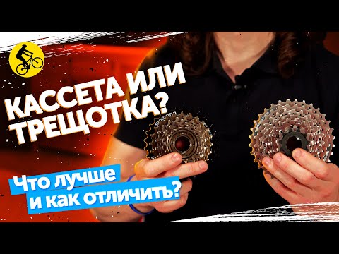 Видео: КАССЕТА или ТРЕЩОТКА? Как отличить? Что лучше?