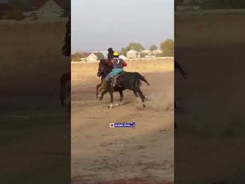 Видео: 8 ноября 2025 г.