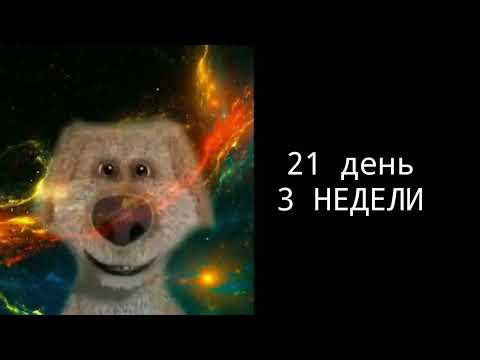 Видео: До др осталось: